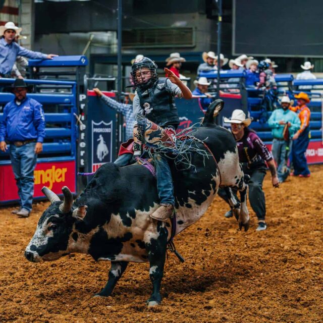 A man riding a bull in a rodeo.