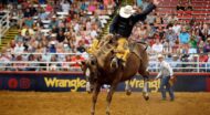 A man riding a horse in a rodeo.