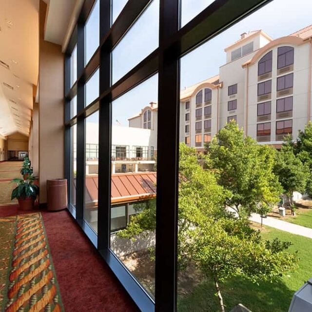 A hallway in a hotel with a view of a tree.