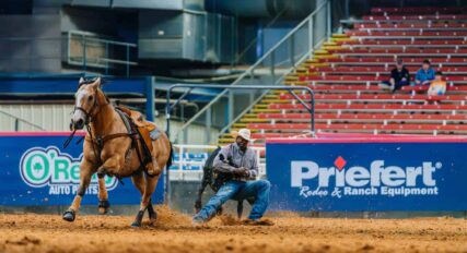 A cowboy competes in a rodeo event, showcasing his skill in calf roping as he pursues a calf across an arena on horseback, while spectators watch from the stands.
