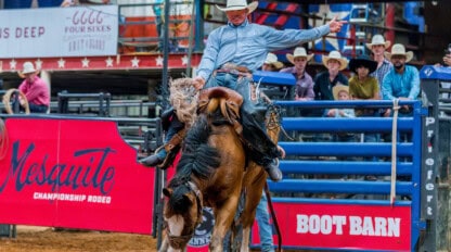 A rodeo rider wearing a cowboy hat and blue shirt rides a bucking horse in an arena, with a cheering crowd and sponsor signs in the background.